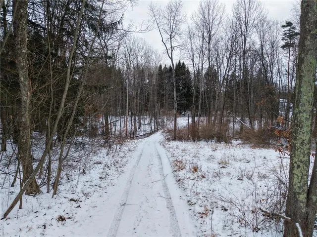 a view of a yard with trees
