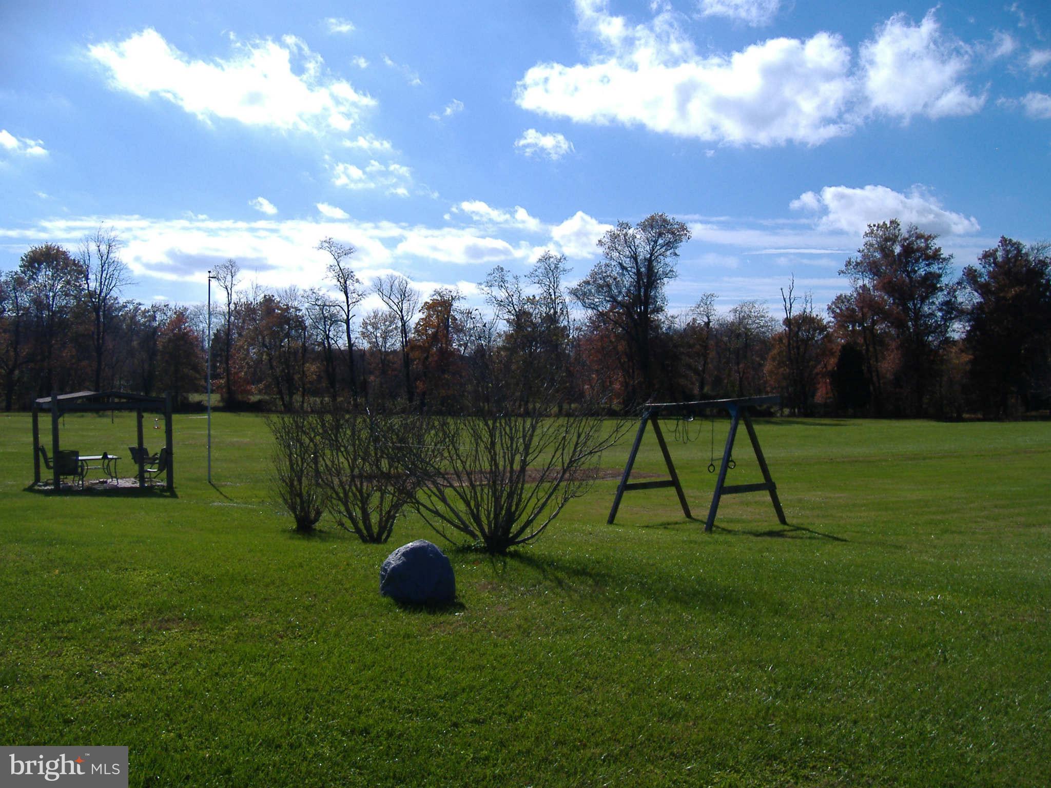 20741 Netz Road Boonsboro, MD 21713 - Photo 4 of 7 a view of a garden with a slide