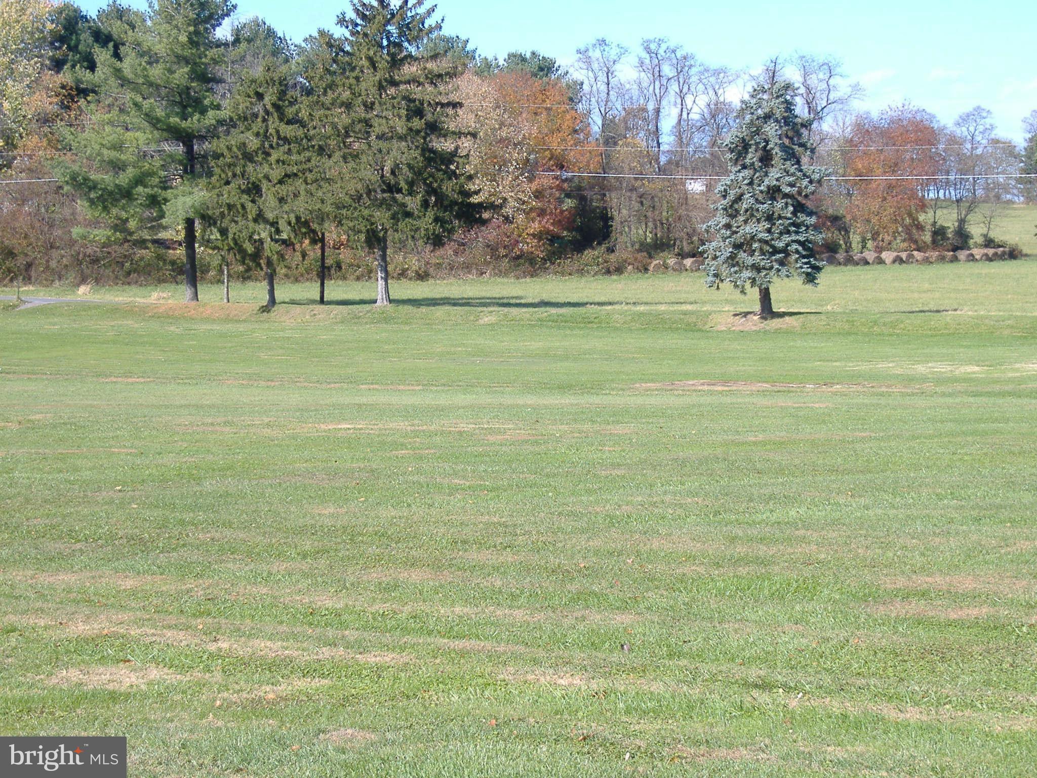 20741 Netz Road Boonsboro, MD 21713 - Photo 5 of 7 a view of a golf course with the trees
