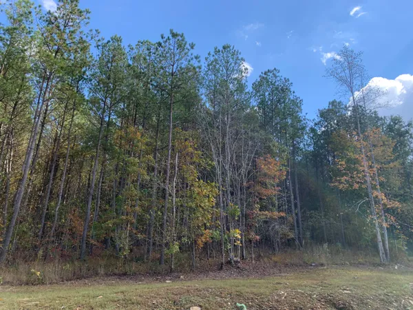 $175,000 | 4910 Raulston Falls Drive, Unit JF106, Jasper, TN 37347