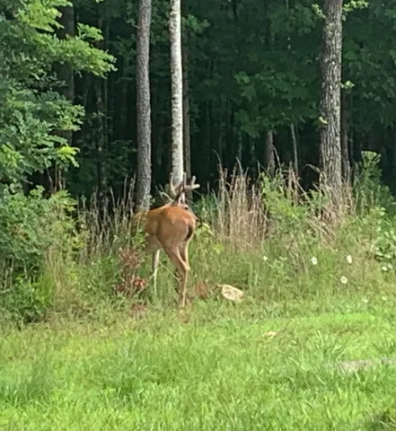 $175,000 | 4910 Raulston Falls Drive, Unit JF106, Jasper, TN 37347