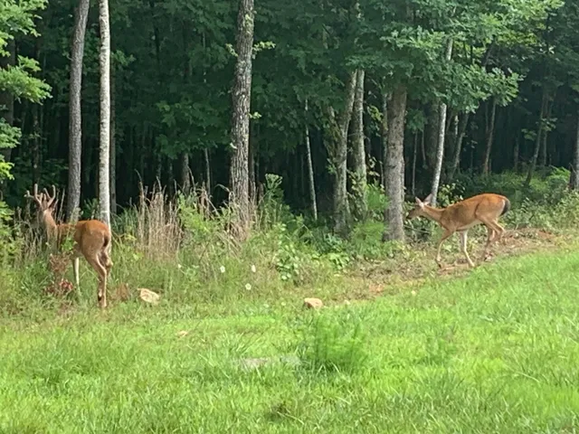 $175,000 | 4910 Raulston Falls Drive, Unit JF106, Jasper, TN 37347