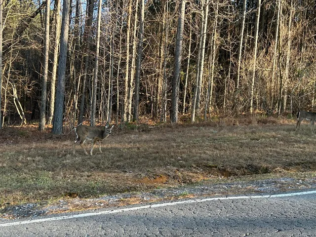 $175,000 | 4910 Raulston Falls Drive, Unit JF106, Jasper, TN 37347