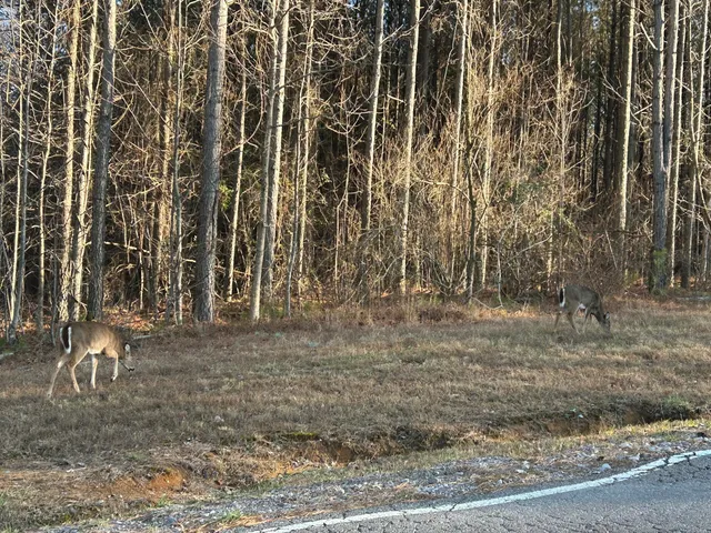 $175,000 | 4910 Raulston Falls Drive, Unit JF106, Jasper, TN 37347