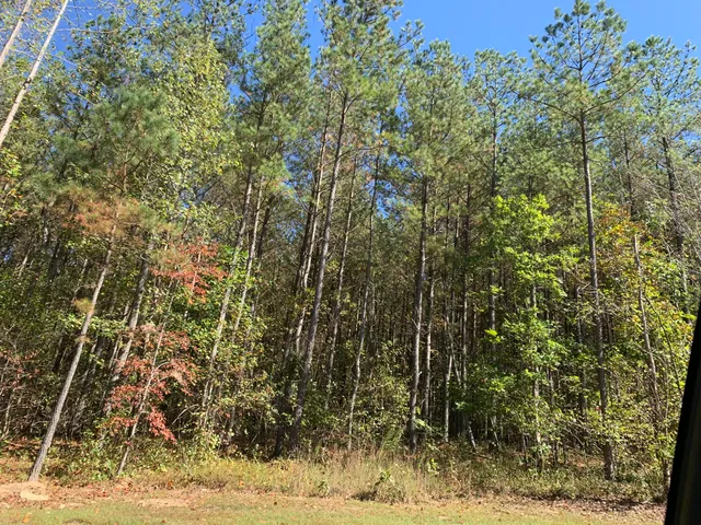 $175,000 | 4910 Raulston Falls Drive, Unit JF106, Jasper, TN 37347