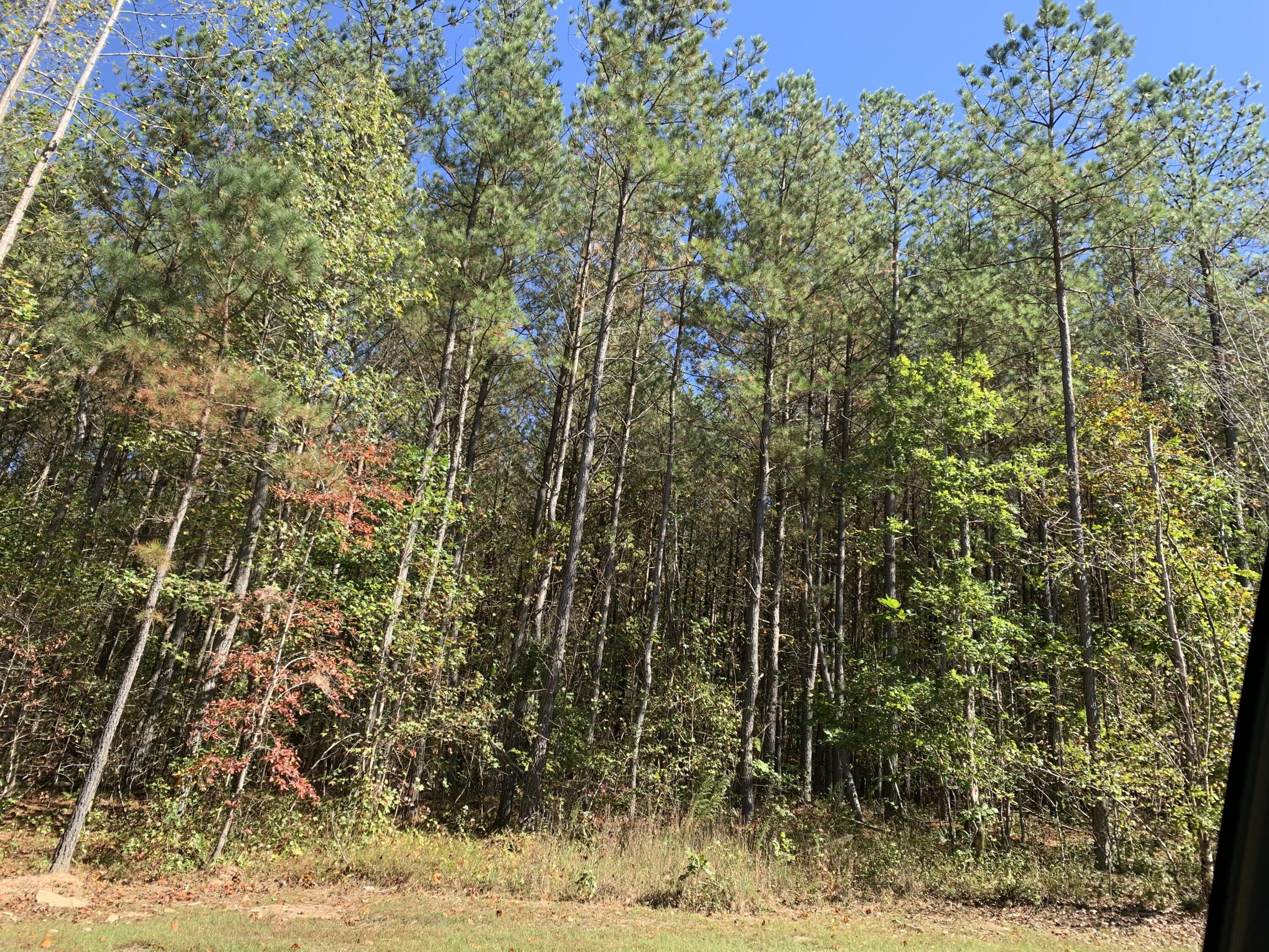 4910 Raulston Falls Drive, Unit JF106 Jasper, TN 37347 - Photo 2 of 40 F482D008-D211-4A46-8785-6F0A0A8DF9F5