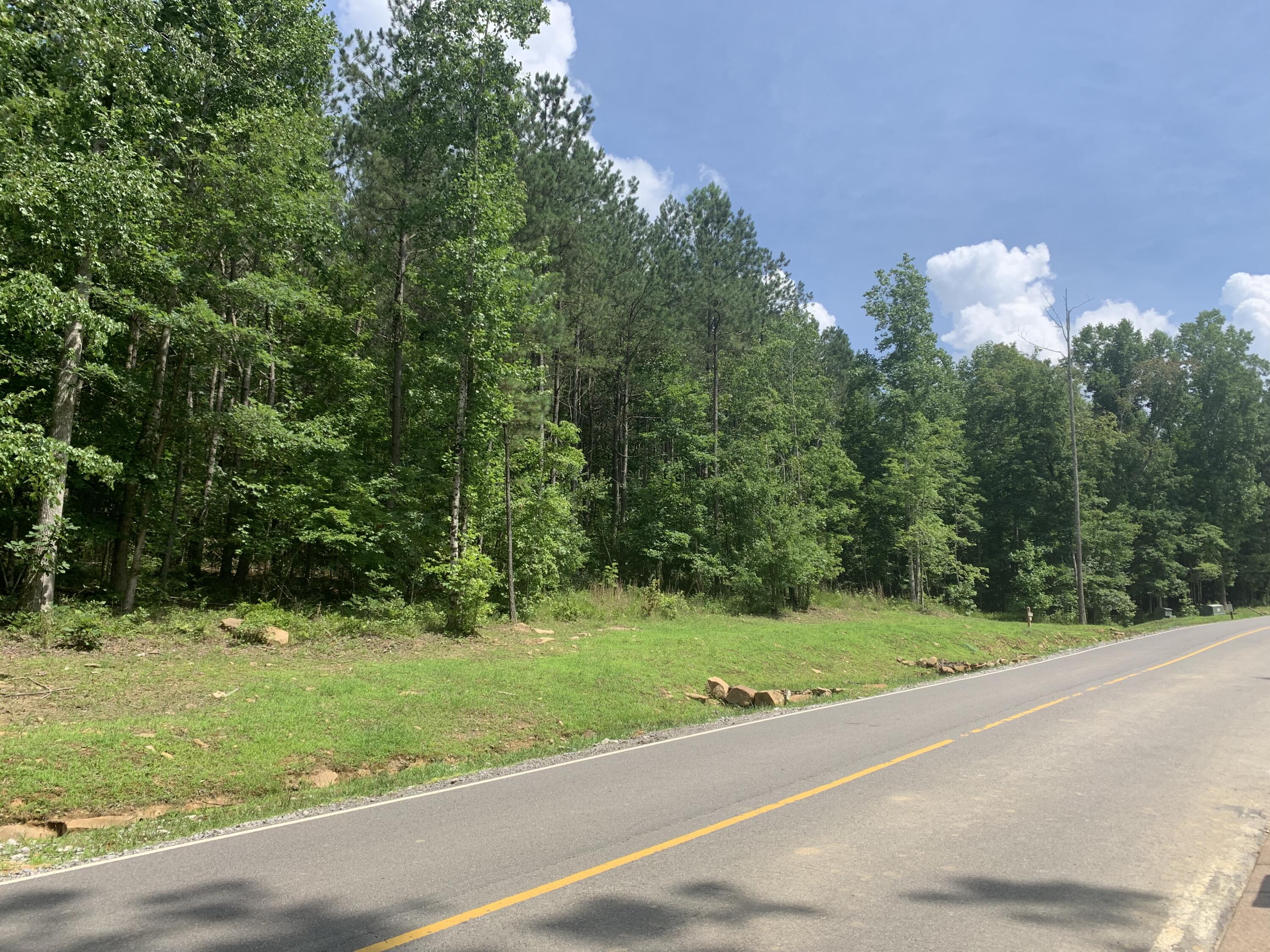 4910 Raulston Falls Drive, Unit JF106 Jasper, TN 37347 - Photo 3 of 40 5D709DA3-347F-46B7-95BE-2357757307A1