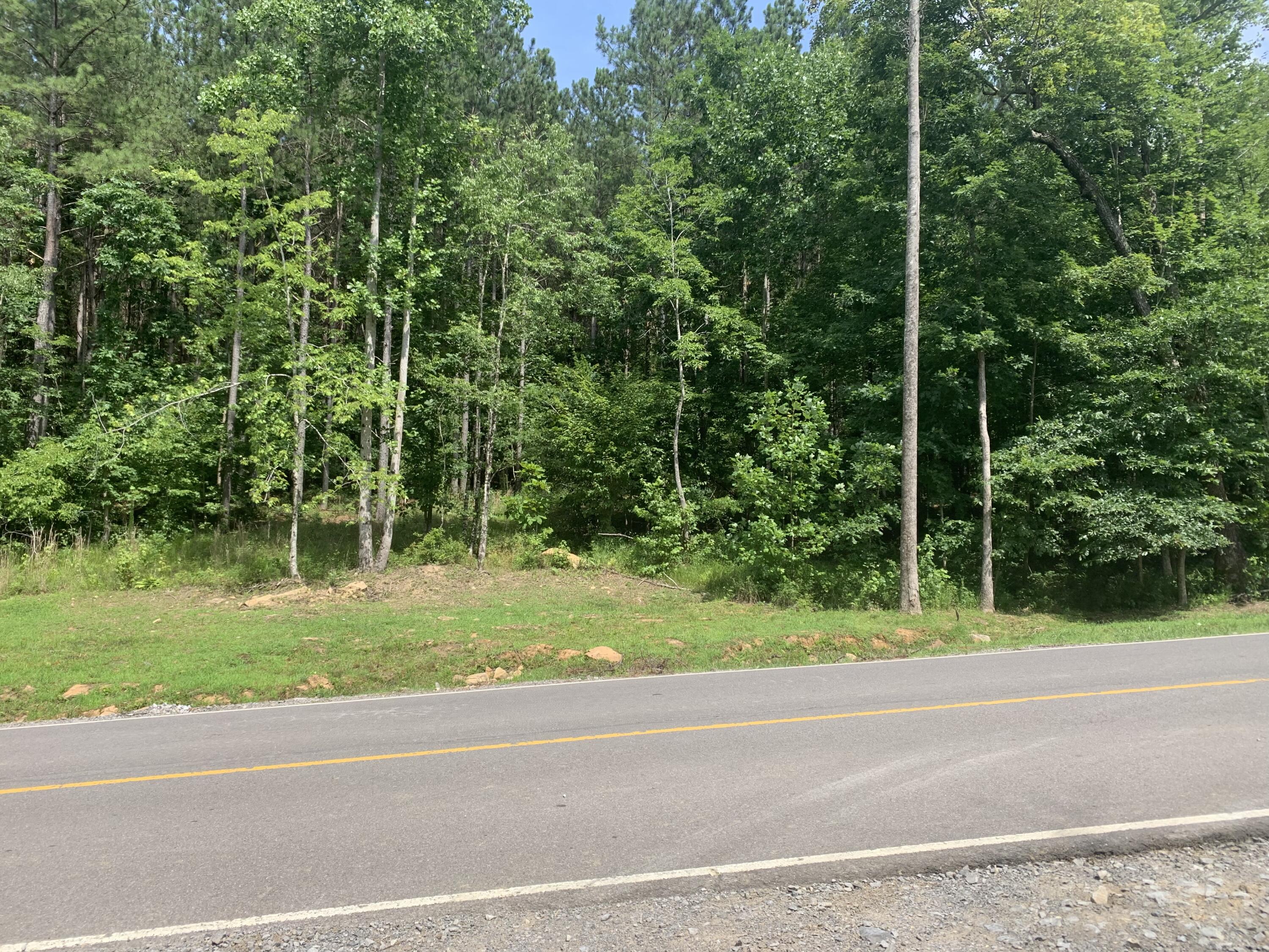 4910 Raulston Falls Drive, Unit JF106 Jasper, TN 37347 - Photo 4 of 40 CD8E1233-7D83-4AFA-854C-AF8675F32C6F