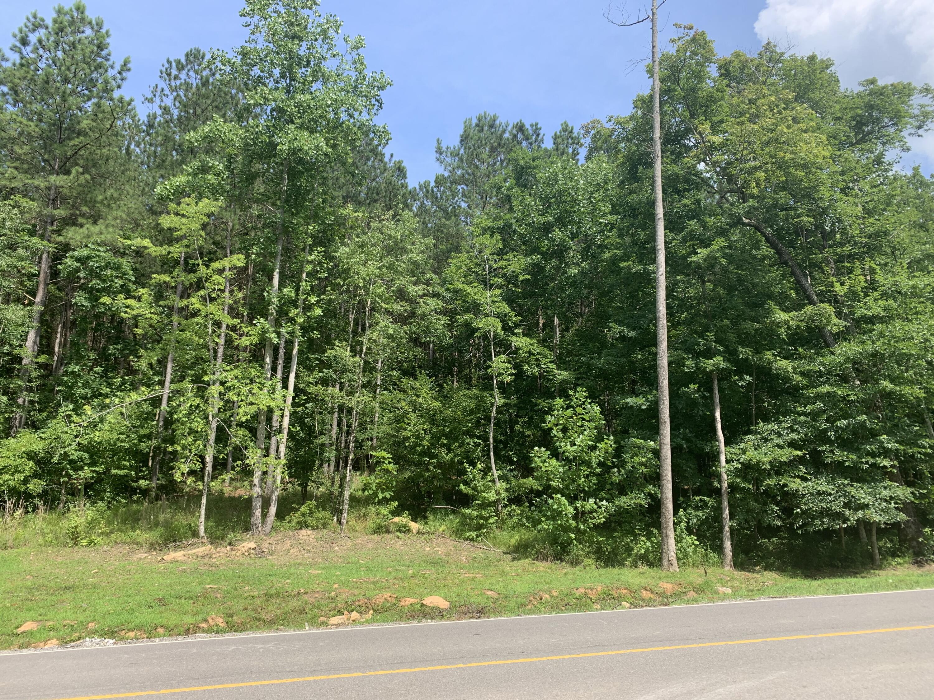 4910 Raulston Falls Drive, Unit JF106 Jasper, TN 37347 - Photo 5 of 40 77FCEE40-F38C-4A64-91B3-43FE8F3E3109