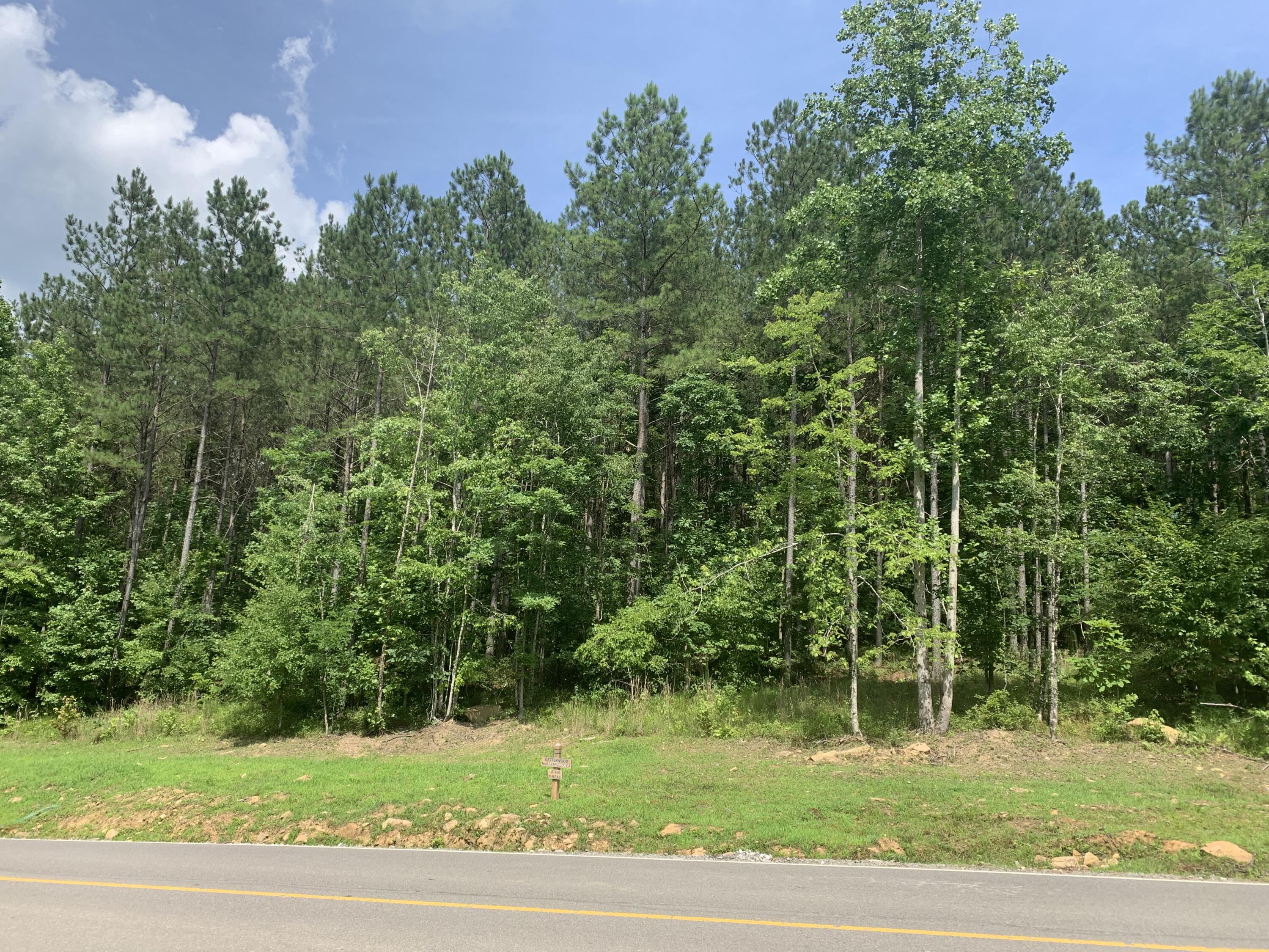 4910 Raulston Falls Drive, Unit JF106 Jasper, TN 37347 - Photo 7 of 40 53DA1875-5B8F-4D19-9741-DAB2BD64BDB2