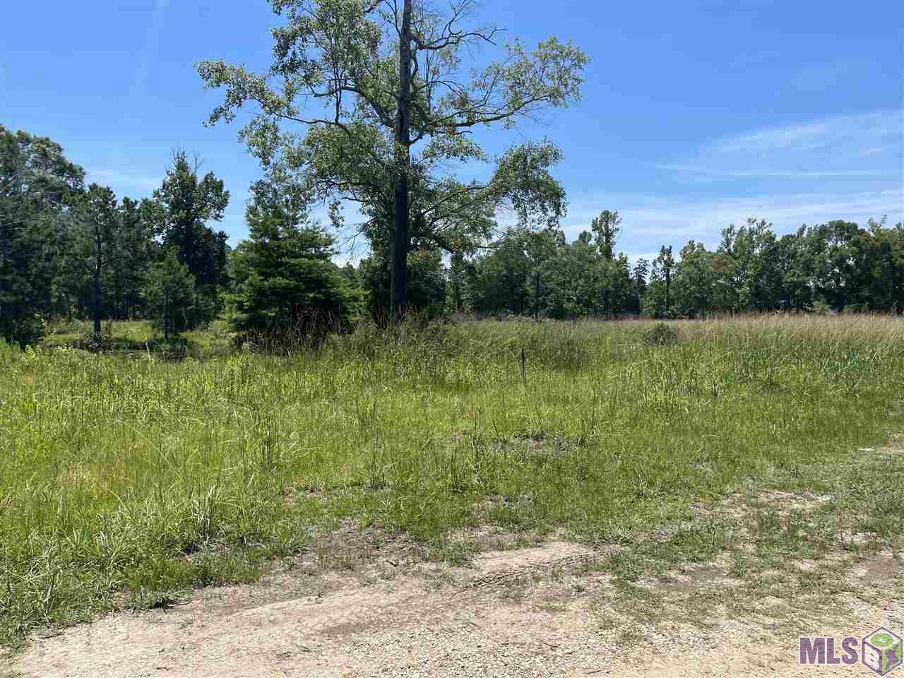 34235 Cane Market Road Walker, LA 70785 - Photo 11 of 11