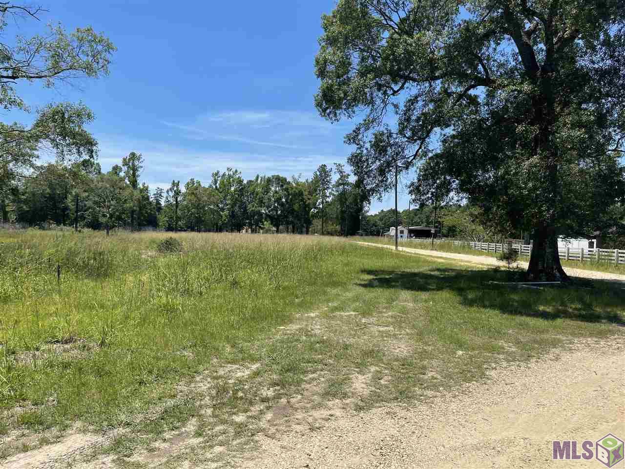 34235 Cane Market Road Walker, LA 70785 - Photo 2 of 11