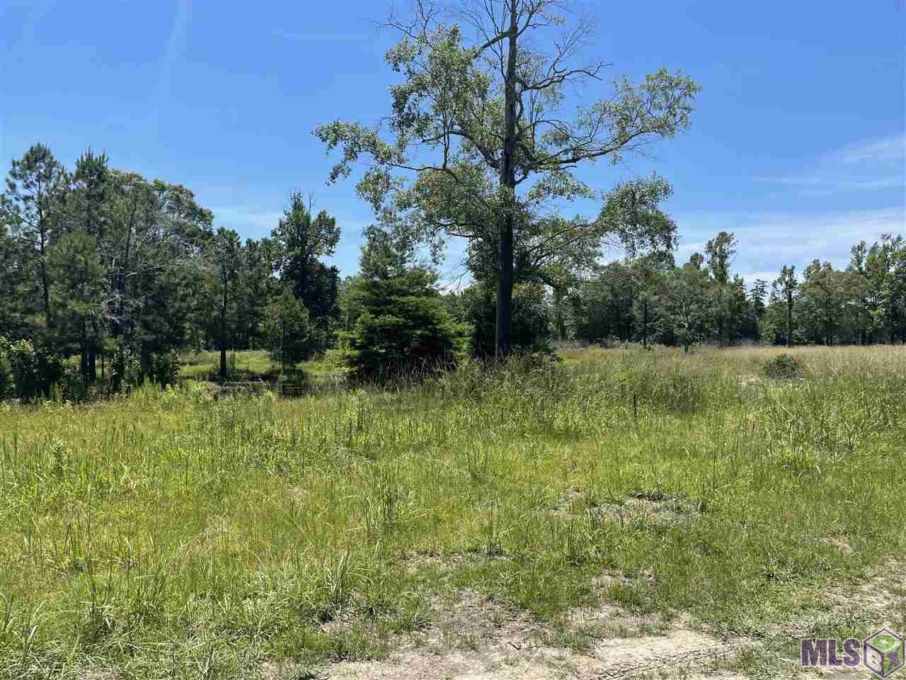 34235 Cane Market Road Walker, LA 70785 - Photo 3 of 11