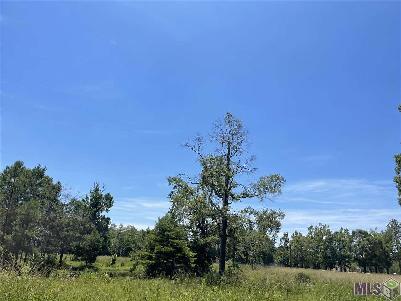 34235 Cane Market Road Walker, LA 70785 - Photo 5 of 11