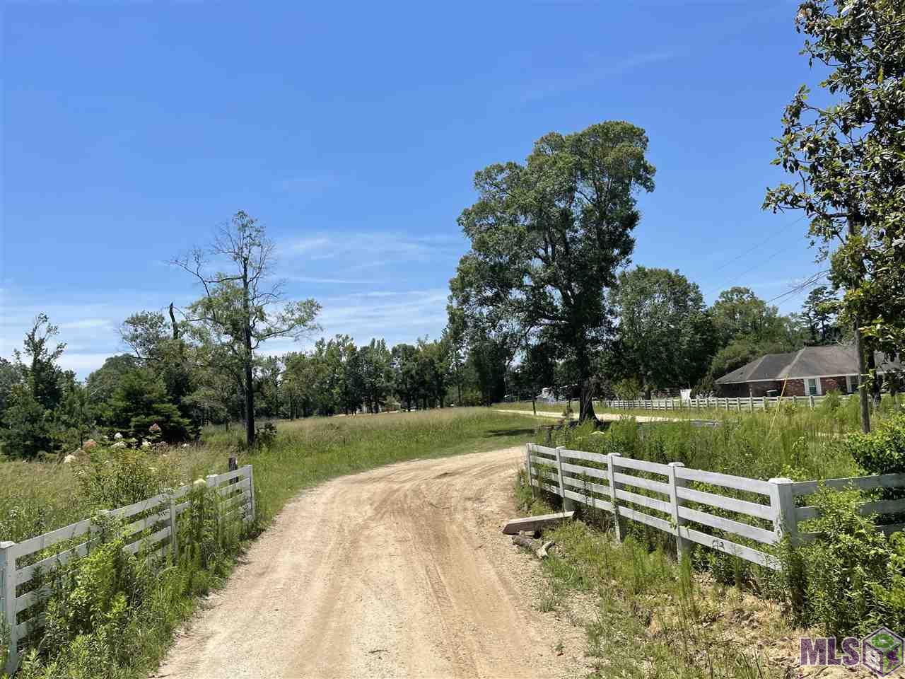 34235 Cane Market Road Walker, LA 70785 - Photo 7 of 11