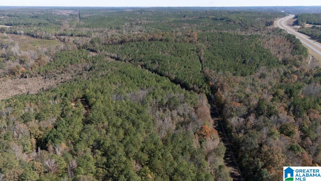 1122 Montevallo Road Centreville, AL 35042 - Photo 61 of 69