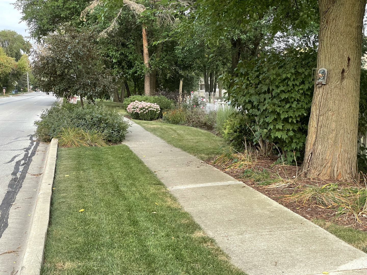 1200 South Raddant Road Batavia, IL 60510 - Photo 8 of 29 a view of a backyard