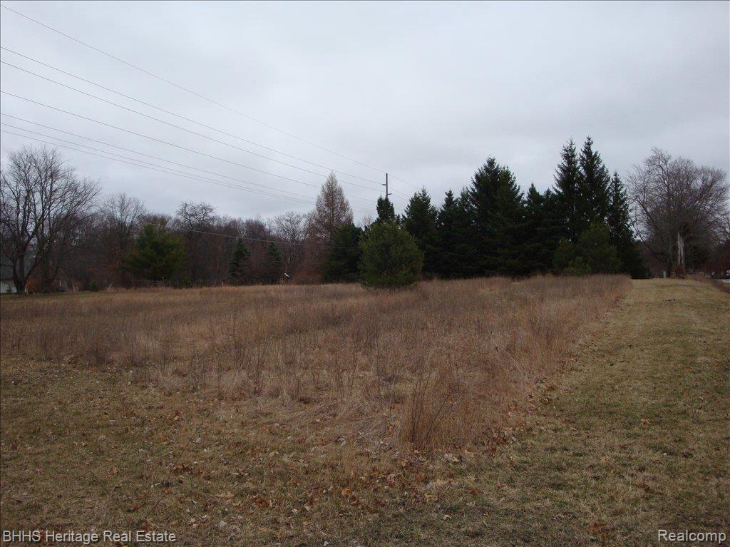 13961 West Commerce Road Milford, MI 48380 - Photo 23 of 23 Yard passed the pines