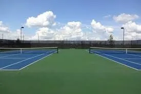 $2,450 | 17439 Chester Valley Trail, Hockley, TX 77447