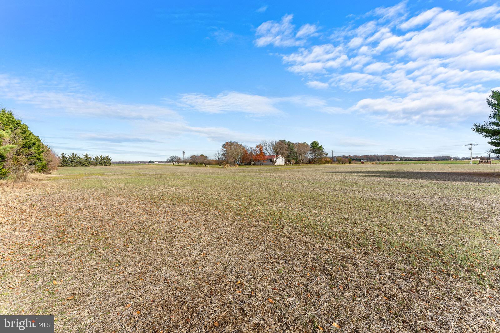 850 Merrick Corner Road Ingleside, MD 21644 - Photo 7 of 23 Gallery Image 7