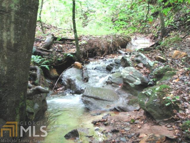 0 Falling Pines Road, Unit 11 25 Dahlonega, GA 30533 - Photo 1 of 1 Little branch flowing through the rock