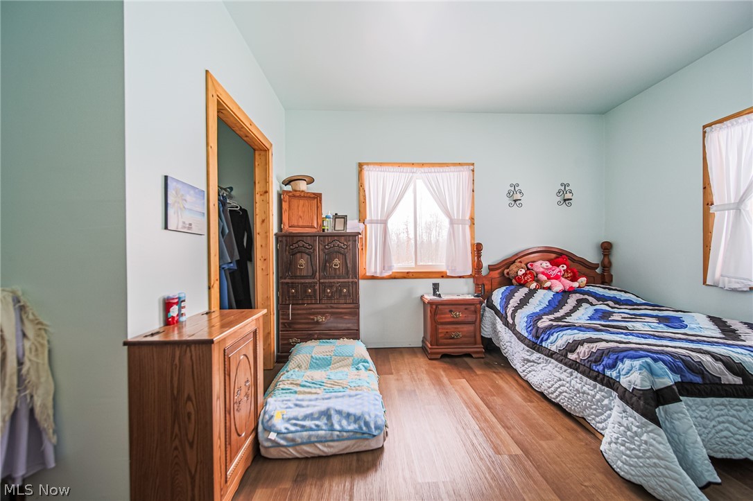 3542 Mann Road Andover, OH 44003 - Photo 12 of 42 Bedroom with a walk in closet and wood finished floors