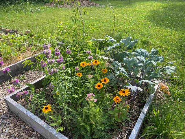 $5,000 | 324 North Day Avenue, Rockford, IL 61101