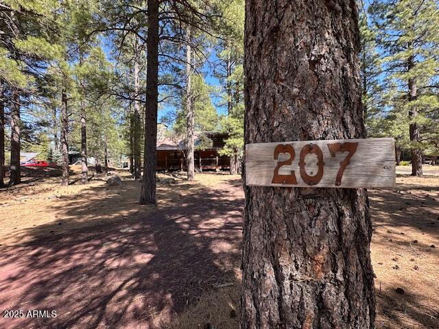207 Blue Ridge Road Mormon Lake, AZ 86038 - Photo 3 of 67 Your New address