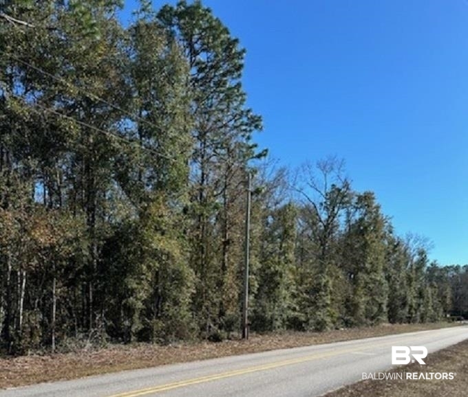 0 Patterson Road Loxley, AL 36551 - Photo 3 of 4