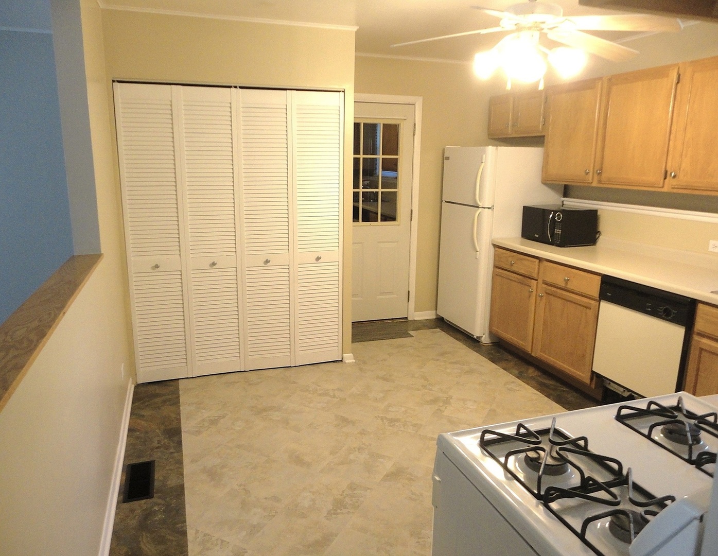 6325 Dunham Road Downers Grove, IL 60516 - Photo 9 of 19