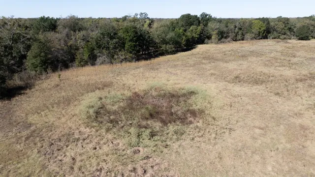 a view of a field of grass and trees