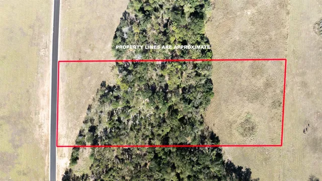 a bathroom with a shower curtain