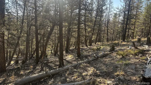 a view of covered with green space