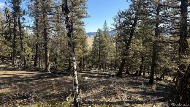 a view of road with trees