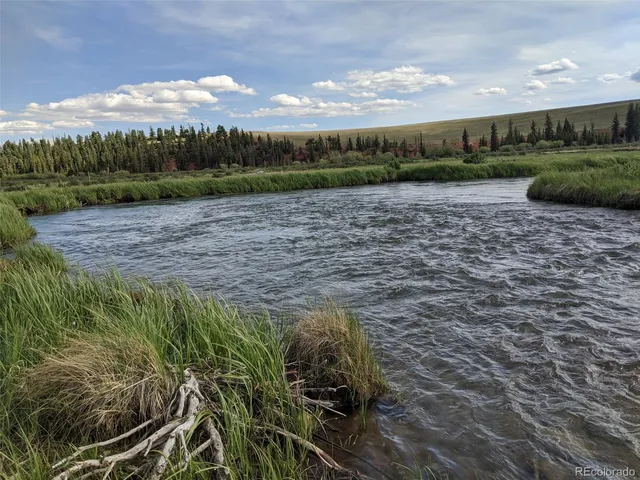 a view of a pathway both side of grassy field with shrub