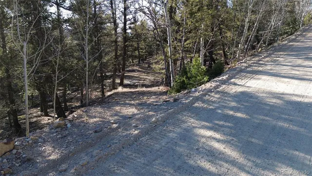 a view of a forest with trees