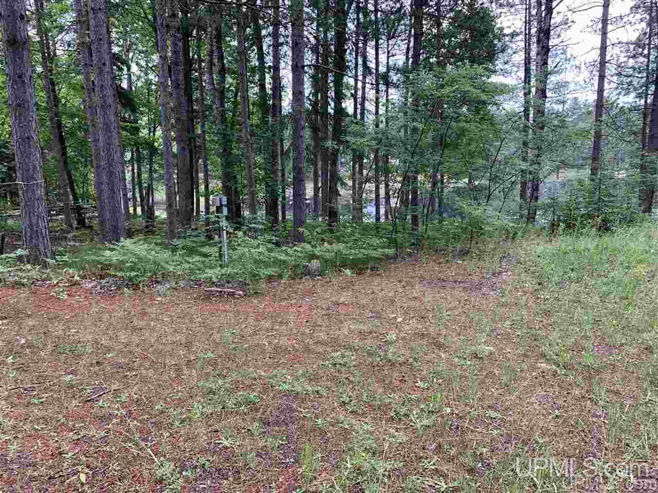 N3318 Twin Lakes Road Wetmore, MI 49895 - Photo 10 of 19