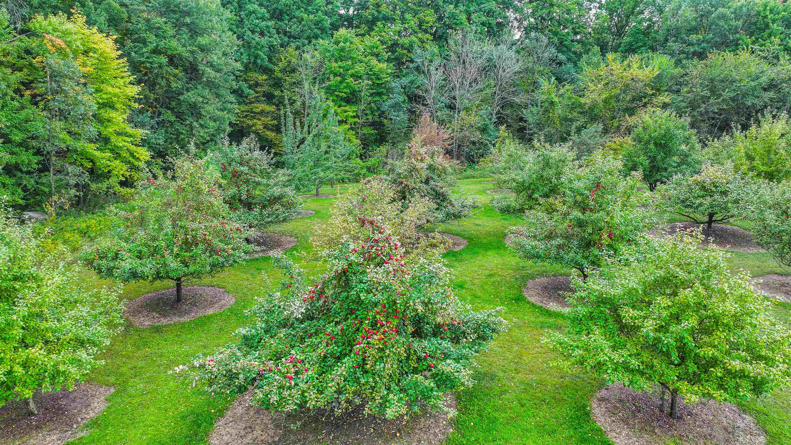 N9314 Pleasant Hill Road Iola, WI 54945 - Photo 11 of 49