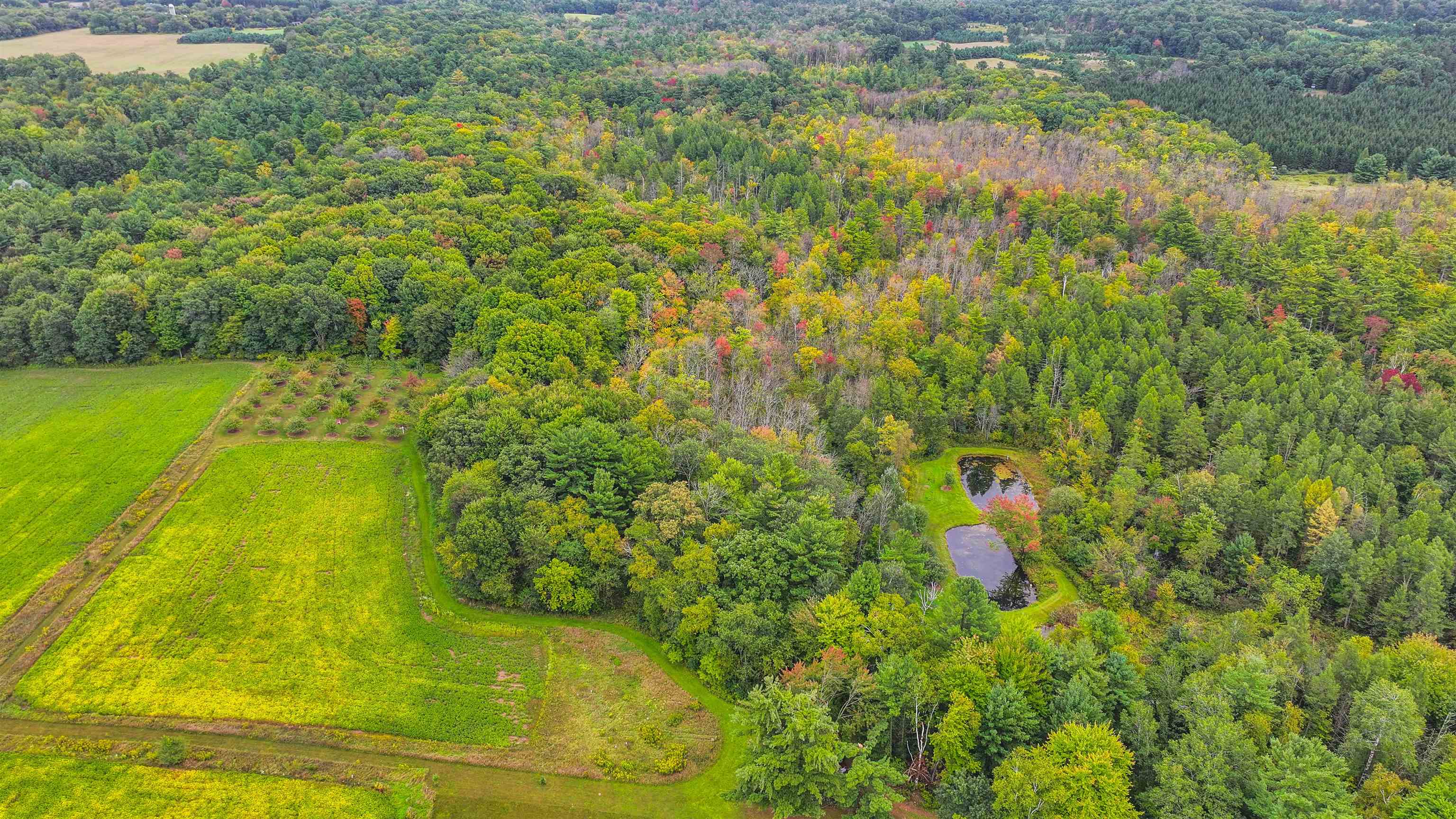 N9314 Pleasant Hill Road Iola, WI 54945 - Photo 12 of 49