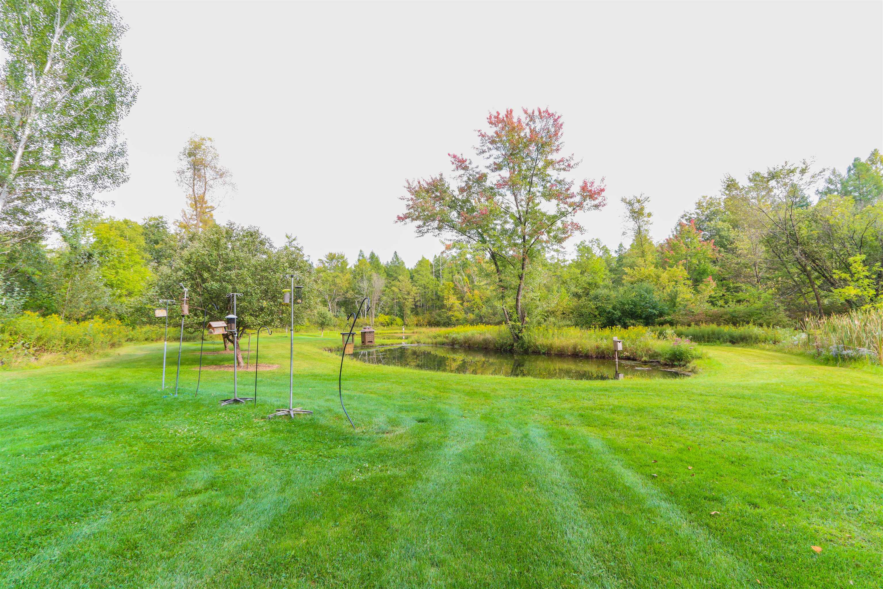 N9314 Pleasant Hill Road Iola, WI 54945 - Photo 36 of 49