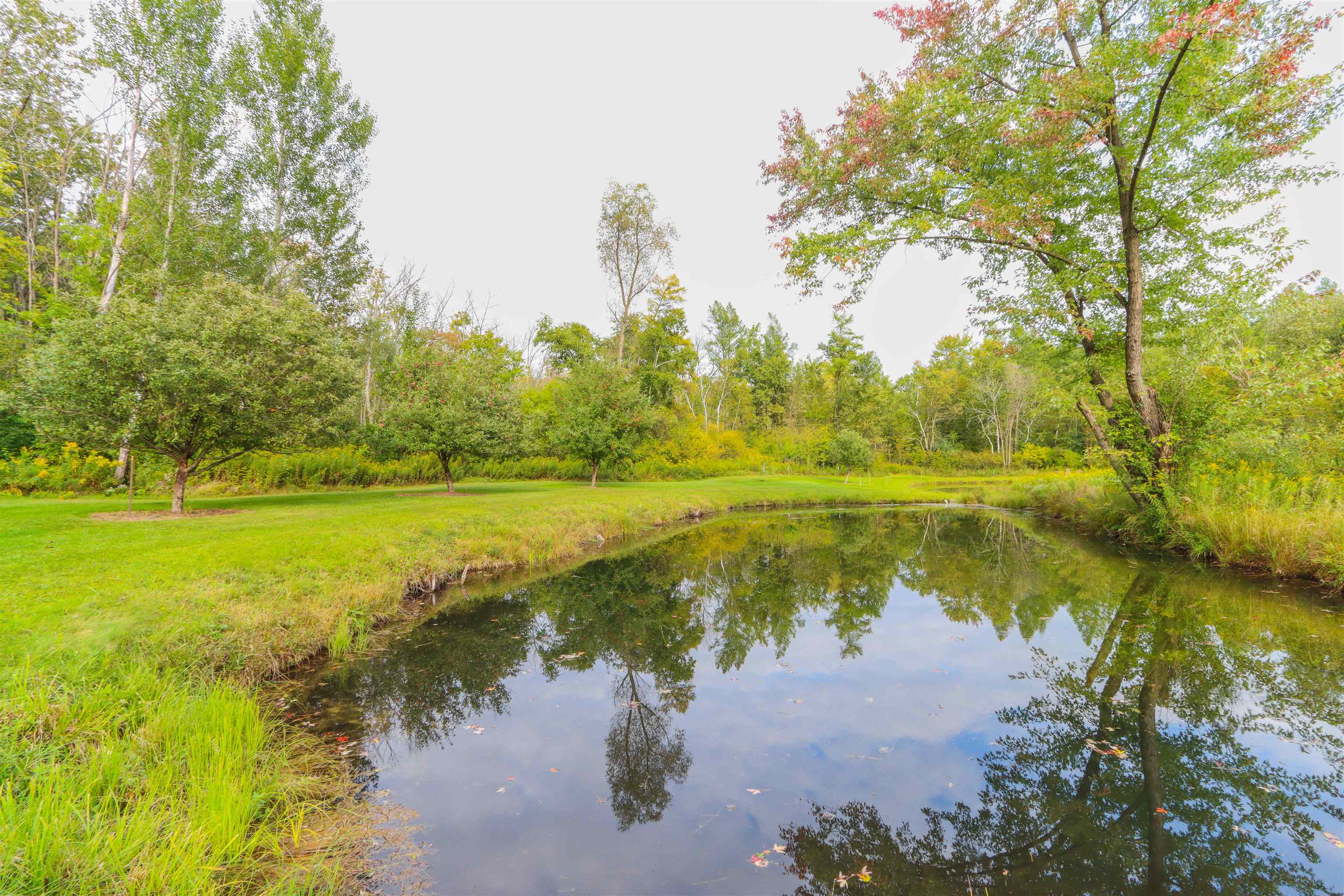 N9314 Pleasant Hill Road Iola, WI 54945 - Photo 37 of 49