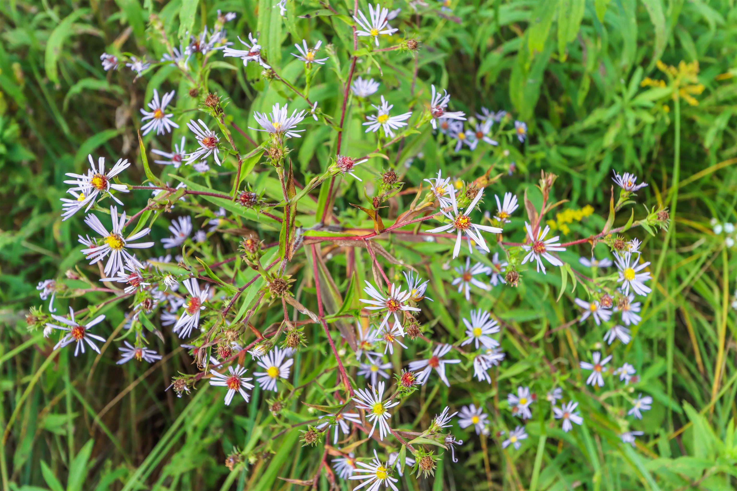 N9314 Pleasant Hill Road Iola, WI 54945 - Photo 38 of 49