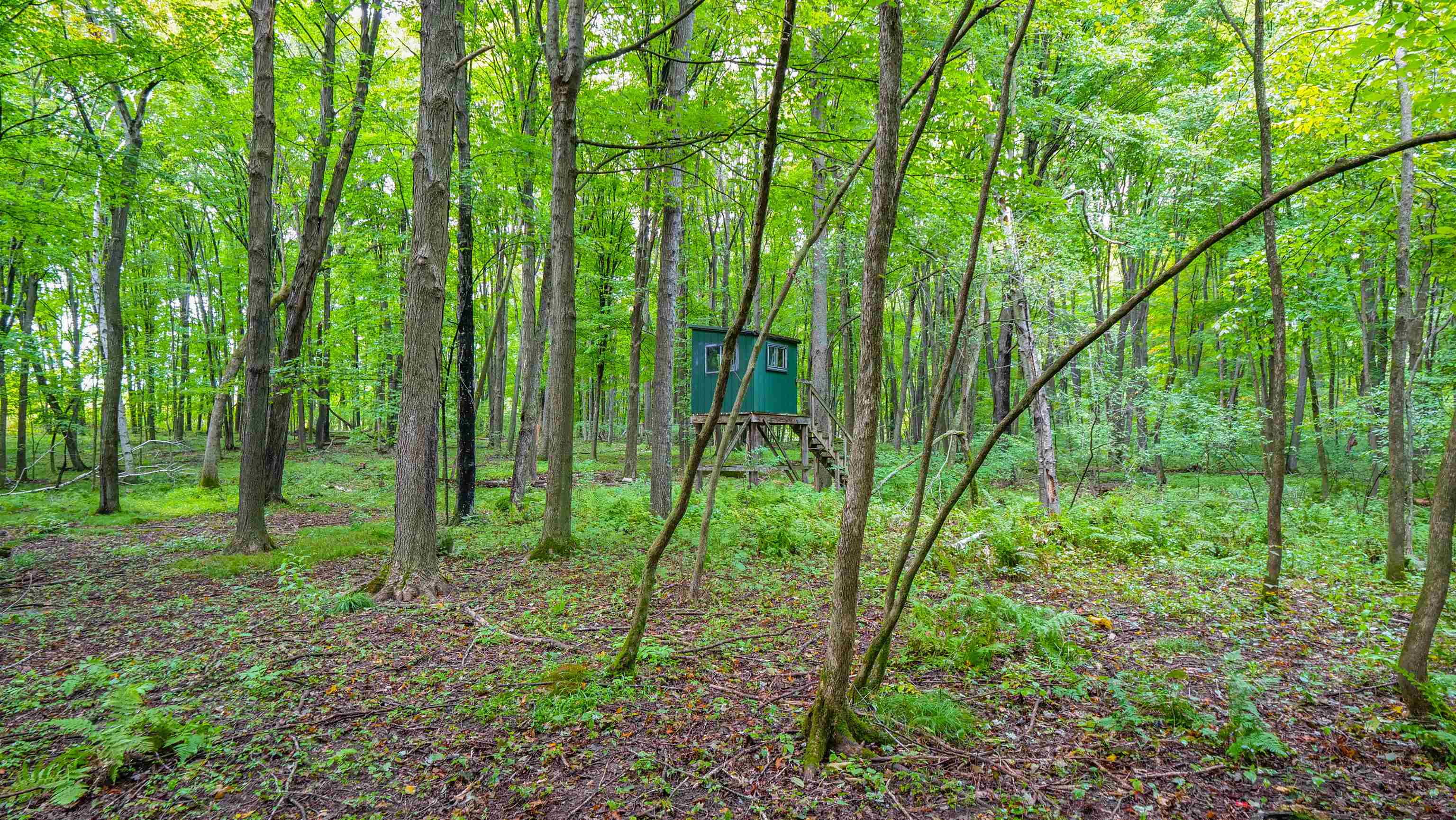 N9314 Pleasant Hill Road Iola, WI 54945 - Photo 44 of 49