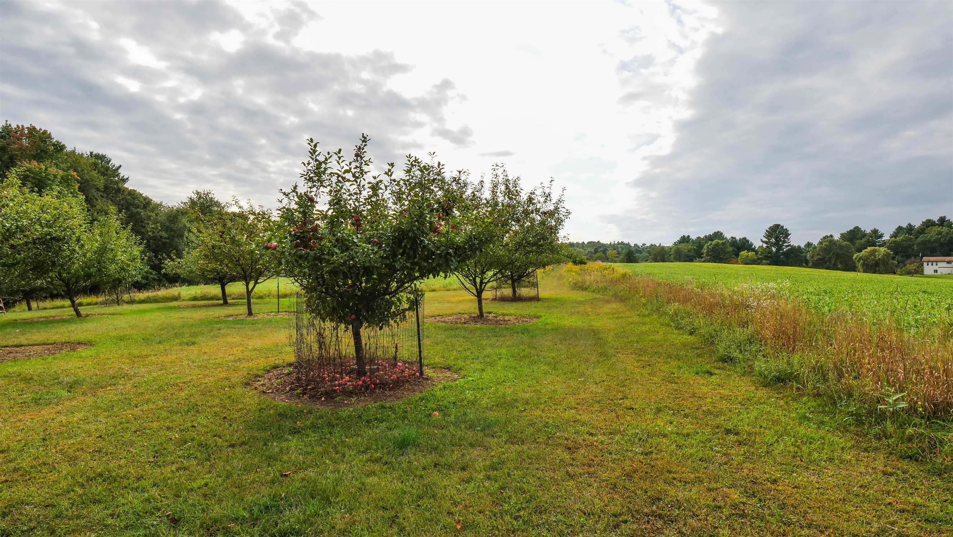 N9314 Pleasant Hill Road Iola, WI 54945 - Photo 49 of 49