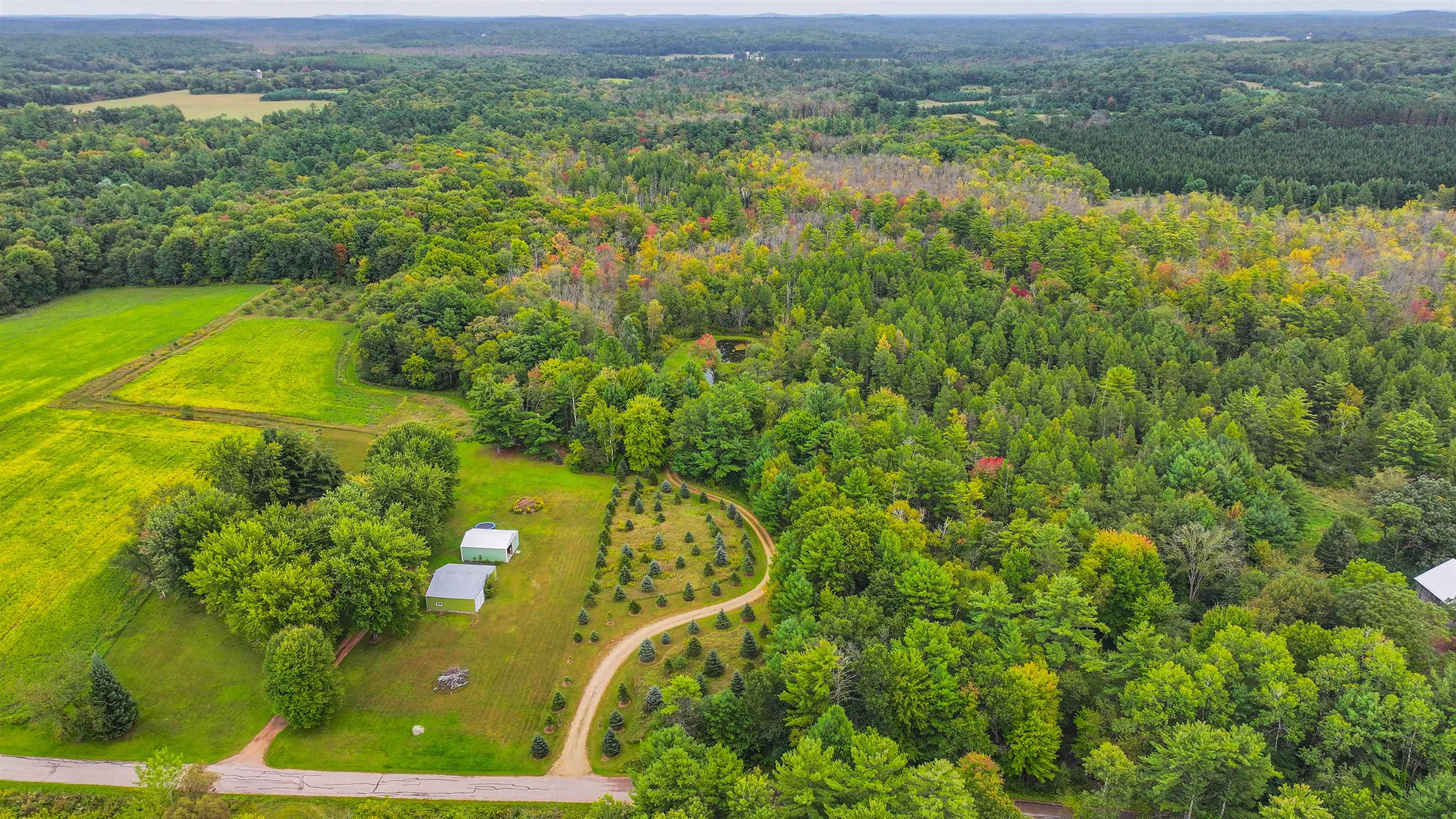 N9314 Pleasant Hill Road Iola, WI 54945 - Photo 5 of 49