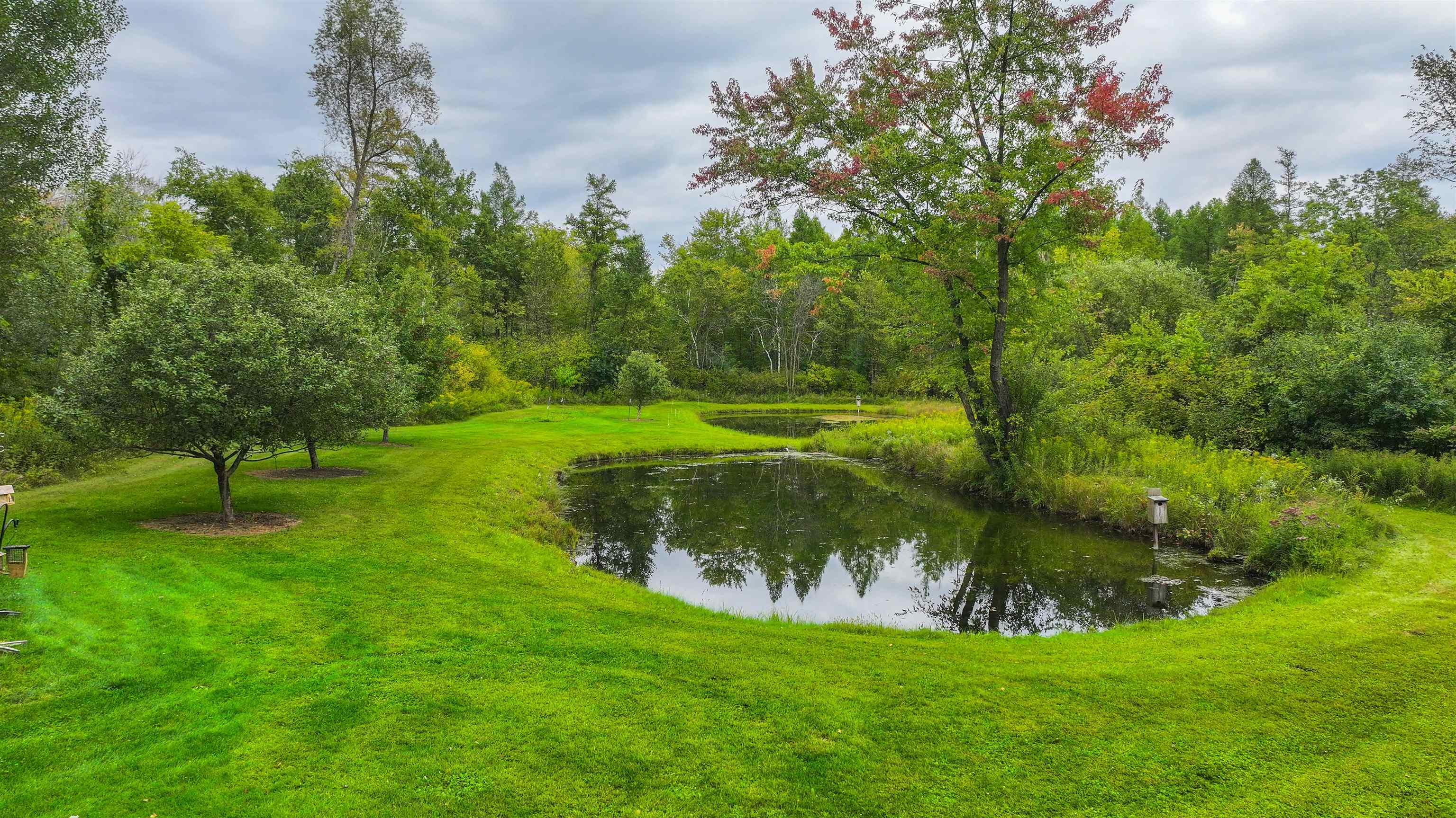 N9314 Pleasant Hill Road Iola, WI 54945 - Photo 6 of 49