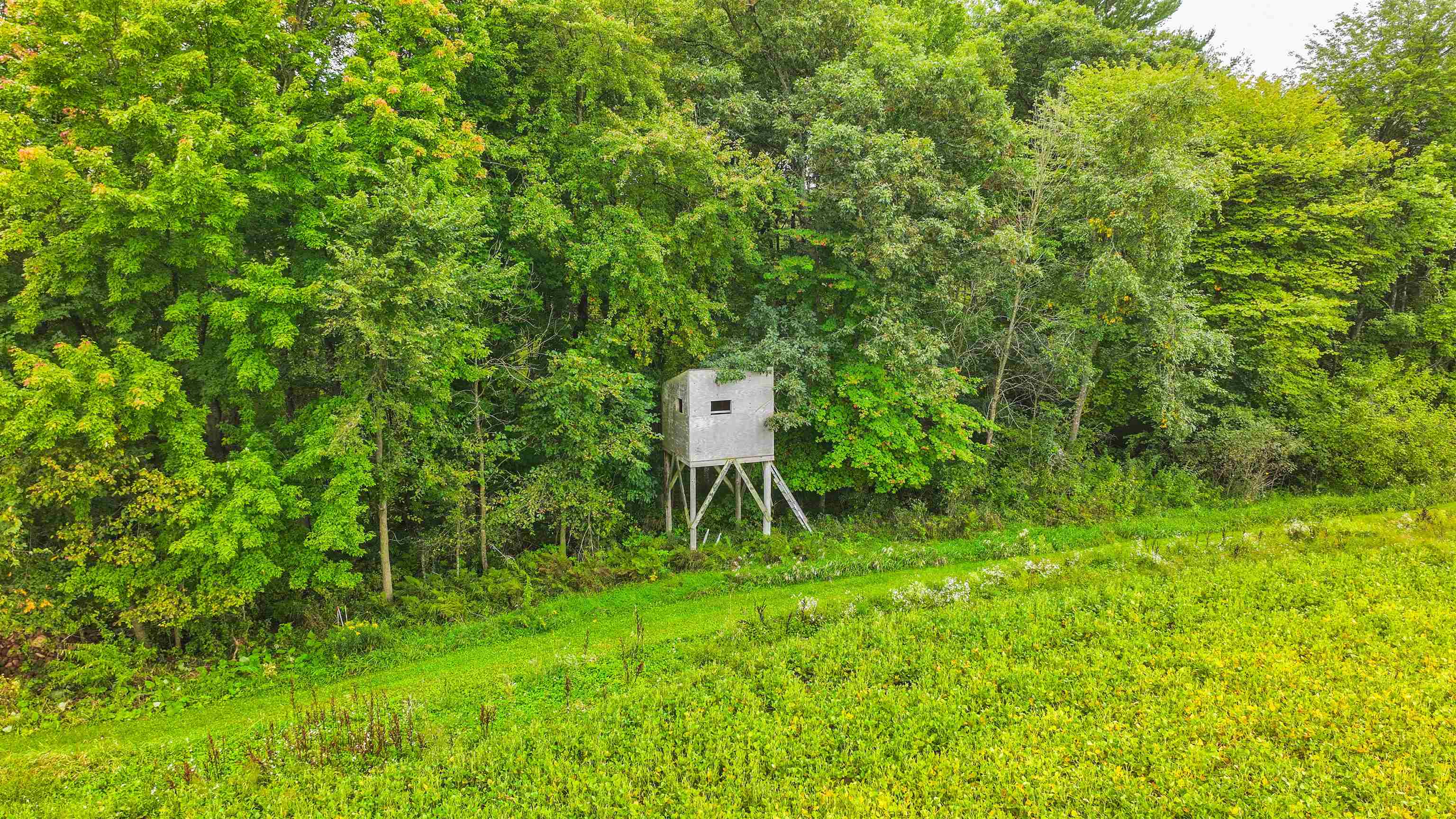 N9314 Pleasant Hill Road Iola, WI 54945 - Photo 7 of 49