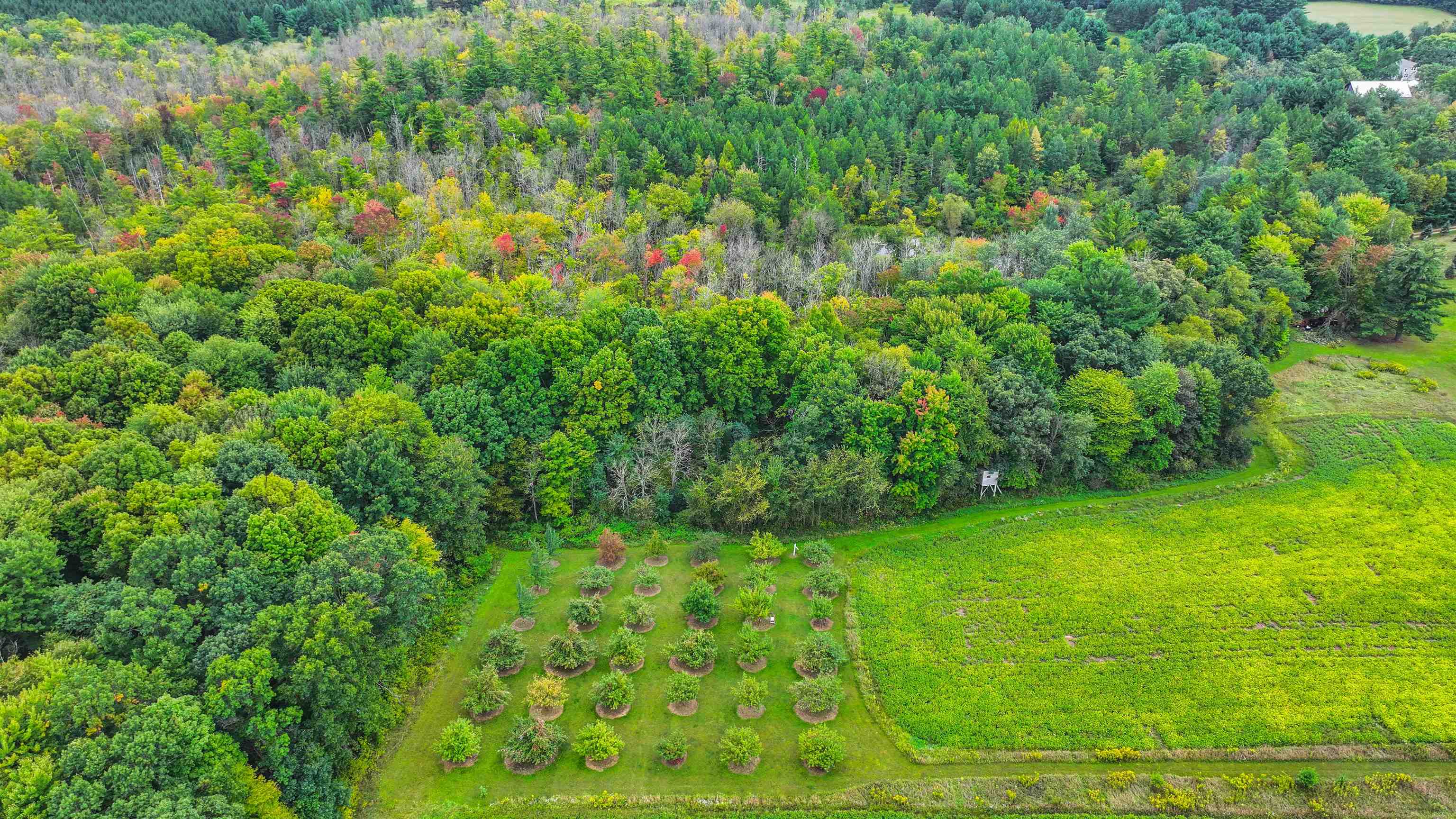 N9314 Pleasant Hill Road Iola, WI 54945 - Photo 8 of 49