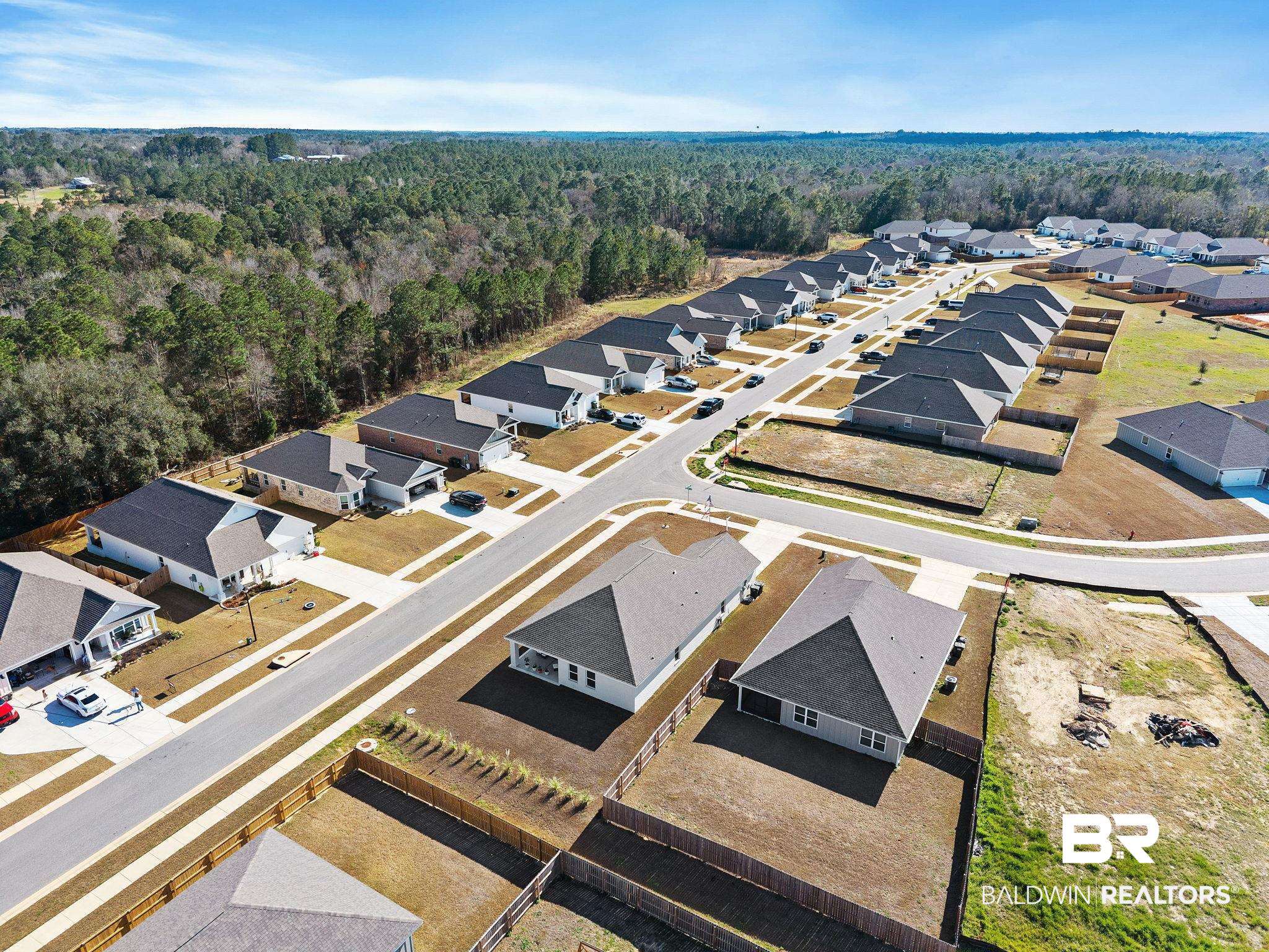 12919 Torrent Road Fairhope, AL 36532 - Photo 63 of 74 Aerial perspective of suburban area featuring a heavily wooded area