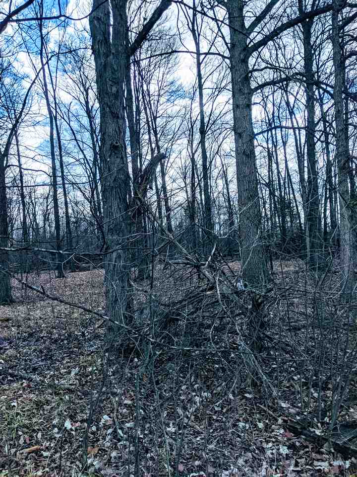 2101 Cook Road Owosso, MI 48867 - Photo 20 of 39